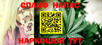 гидропоника Славянск-на-Кубани