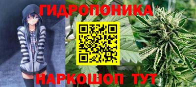 кокс Сланцы