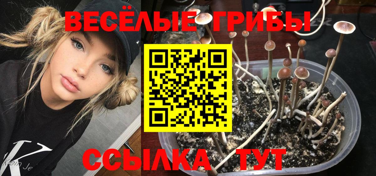 Галлюциногенные грибы ЛСД Новосибирск