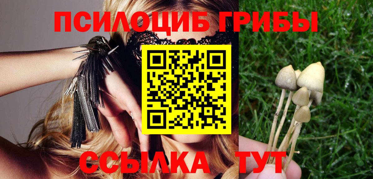 Новосибирск  Галлюциногенные грибы GOLDEN TEACHER  Вход с VPN 